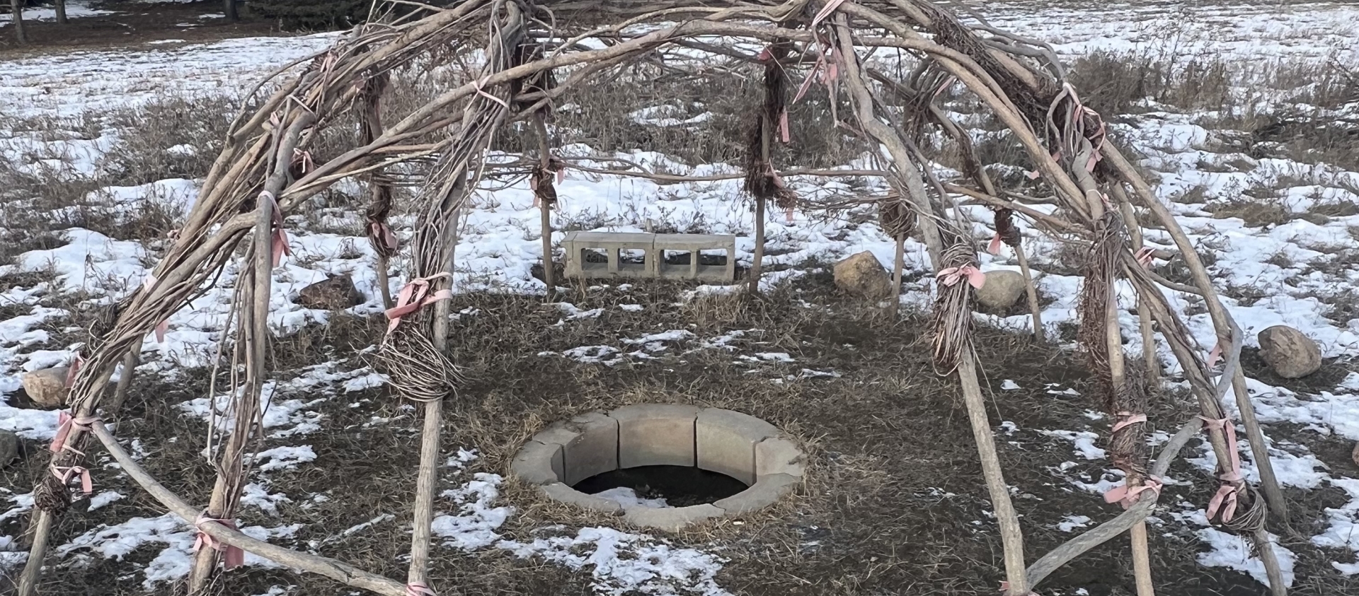 The willow frame of a sweat lodge