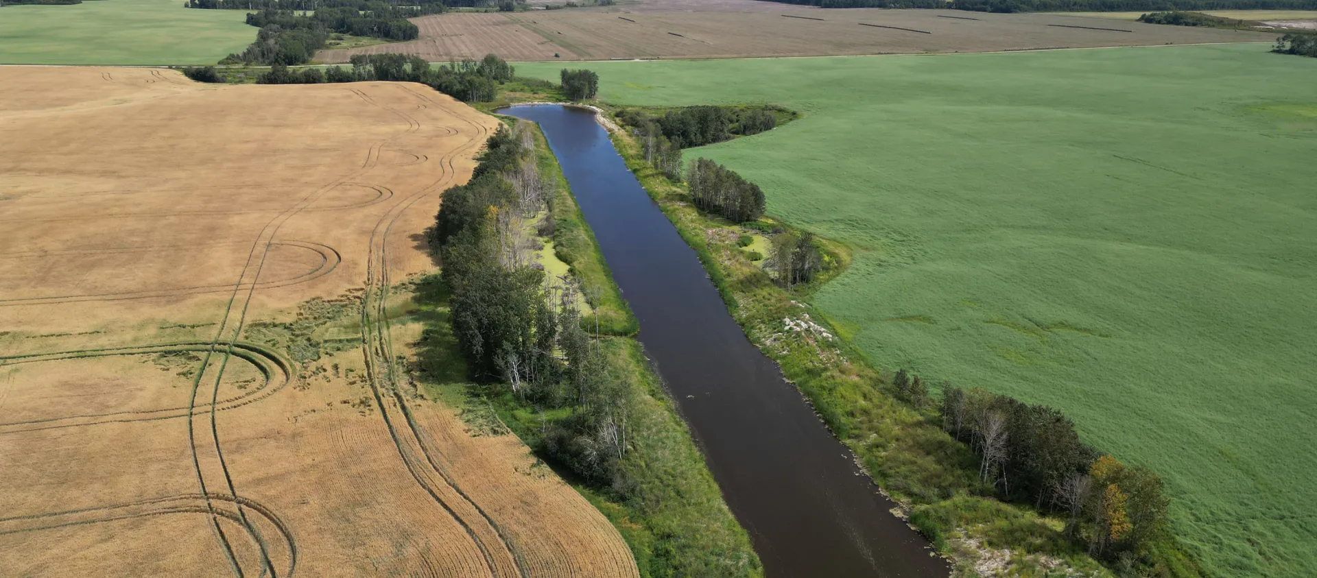 View from a drone