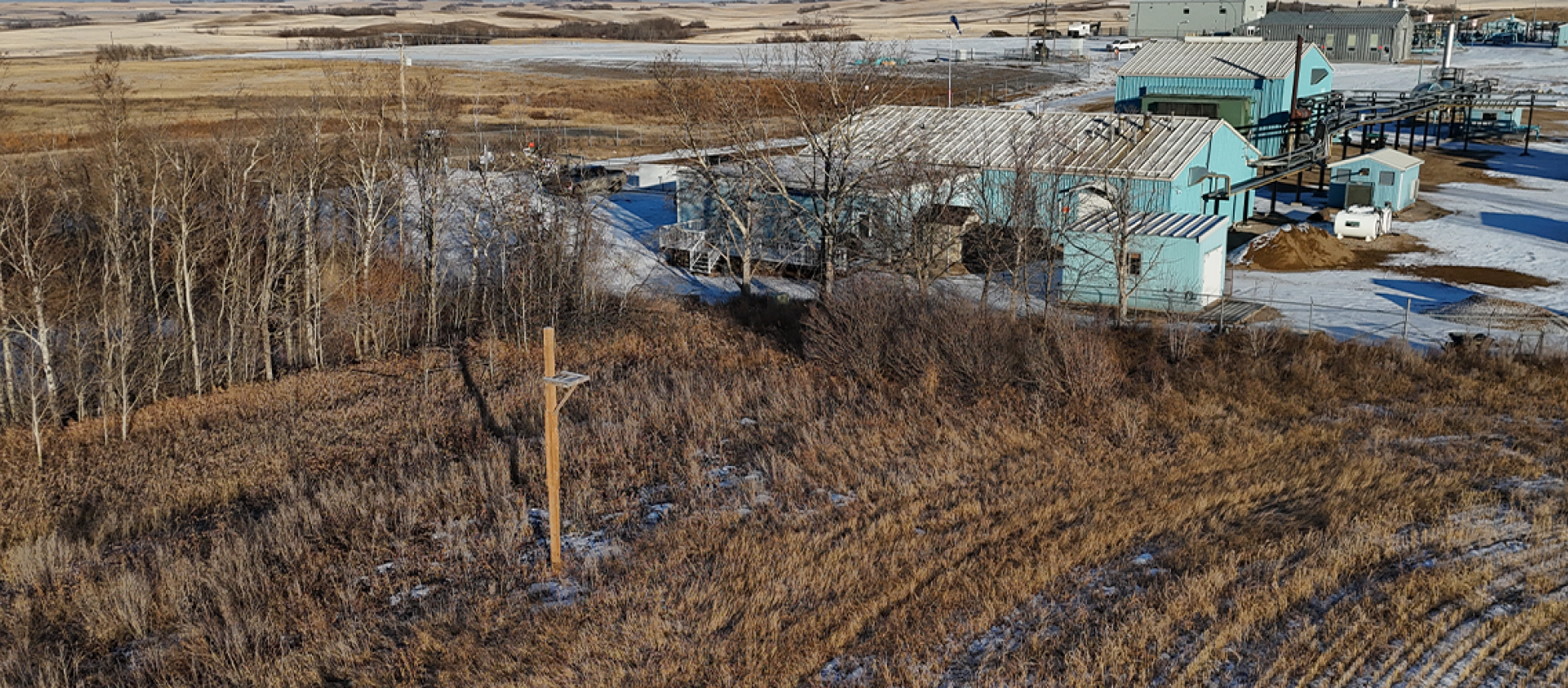 Bird platform in a field