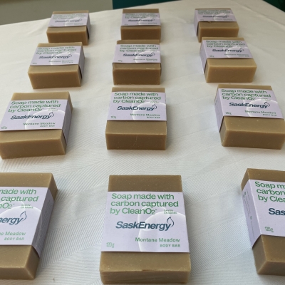 Bars of carbon capture soap laid out on a table. 