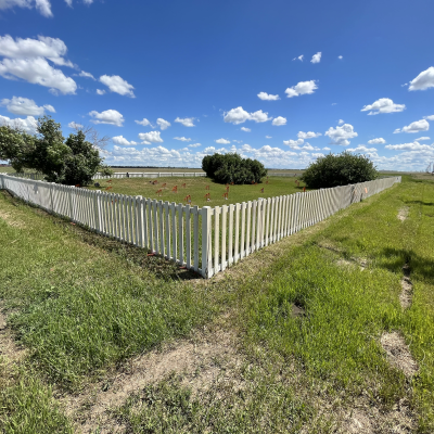 A graveyard outlined by a white fence