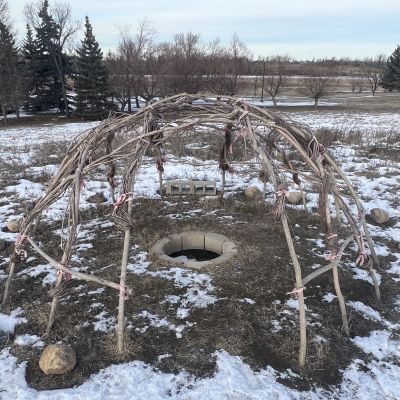 The willow frame of a sweat lodge