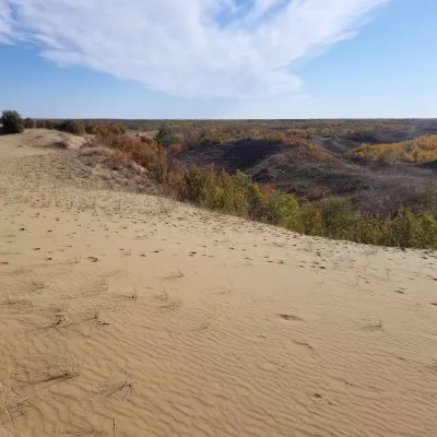 The Great Sandhills