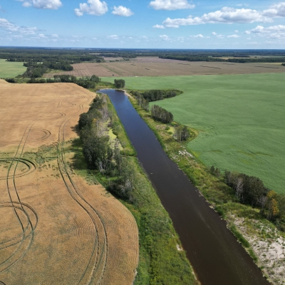 View from a drone