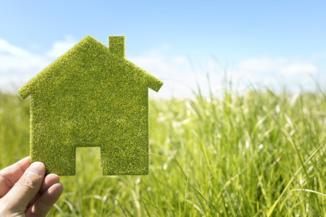 person holding cut out of green house made of grass, with real grass in the ground in background