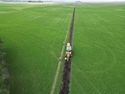 View from a drone