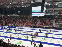 Sheets of curling ice