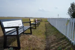 on the left, a white bench close up with three other benches beyond, and a white picket fence on the right.