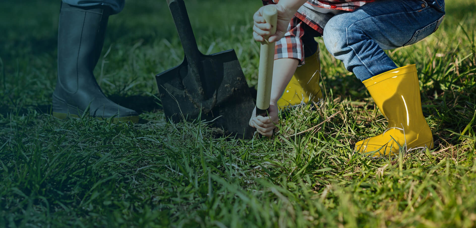 Two people digging in yard with shovel